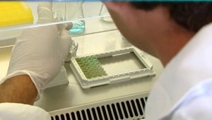 Práca ako z kriminálky. Experti v oblasti forenzných vied si vymieňali nové poznatky