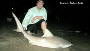 Zamiloval sa do žralokov. A strávil s nimi aj rozlúčku so slobodou!