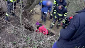 VIDEO: Dramatická záchranná akcia psíka Rickyho. Dobrodruh z útulku sa zasekol v jazvečej nore