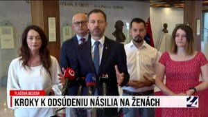 Tlačová beseda strany Demokrati k odsúdeniu násilia na ženách