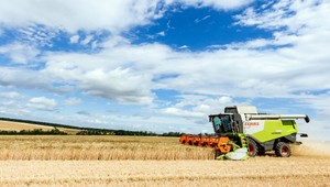 Kukurica, pšenica, repka a slnečnica majú konkurenciu. Na poliach pribúdajú nové rastliny