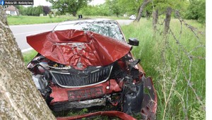 Hrozivá nehoda. Vodič skončil s autom v strome
