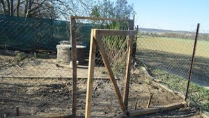 Kuriózna krádež: Muži mali dlhé prsty na zvieratá, ukradnuté prasa posadili na miesto spolujazdca