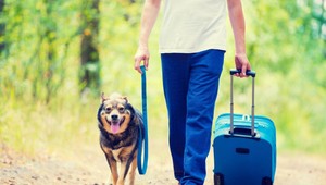 Dovolenka na Slovensku nemusí byť drahá. Turizmus sa dočká finančnej injekcie