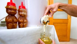 Nový med bude neskôr a zase zdražie...