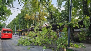VÝSTRAHY: Očakávame silný vietor a extrémny dážď. Pozrite si, či to platí aj vo vašom meste