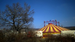 Adam (25) prepadol cirkus v Bratislave. Ľuďom sa vyhrážal zabitím