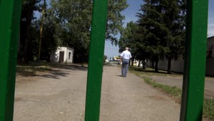 Tisíce sliepok zahynulo, nedostávali potravu a pojedali sa navzájom