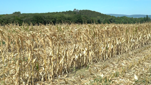 EÚ má prvú legislatívu o pôde. Vytvorí sa zoznam kontaminovaných pôd