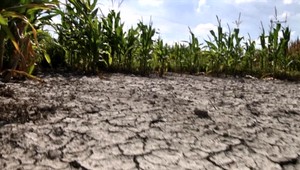 Slovensko trápi mimoriadne sucho. Kedy zaprší?