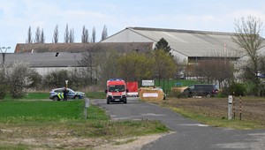 Česko sprísňuje opatrenia proti slintačke a krívačke: Rozširuje zákaz dovozu zo Slovenska