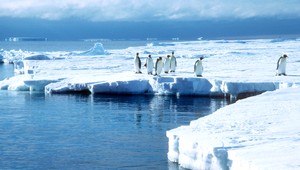 Zistenie vedcov. Na Antarktíde bolo oveľa teplejšie