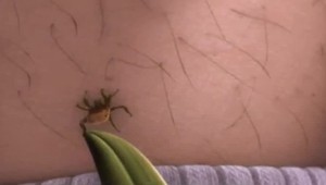 Proti kliešťovej encefalitíde sa dá chrániť očkovaním