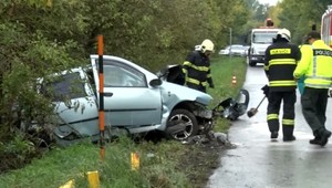 Vodičke skrížila cestu dodávka, bola na mieste mŕtva
