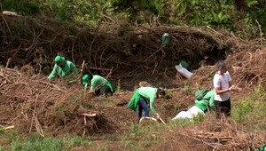 V Tatrách vysadili 8 tisíc stromčekov za jediný deň