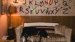 Ubytovanie v štýle seriálu Stranger Things