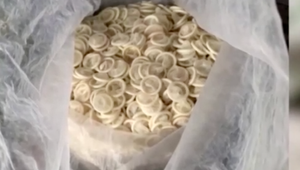 Ilegálny obchod s prezervatívmi: Použité kondómy predávali ako nové