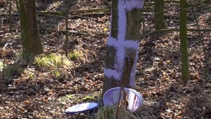 Dedinu niekto pokreslil hákovými krížmi, deje sa to pravidelne