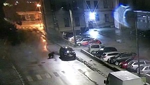 Mesto Sabinov upozorňuje obyvateľov. V uliciach sa im objavil medveď