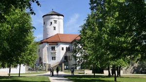 Aké problémy trápia Žilinčanov? Odpovedali nám aj kandidáti