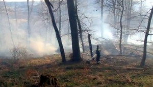 V Betliari horel opäť les, zhoreli štyri hektáre