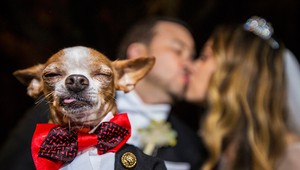 Medzi najlepšími svadobnými fotografiami roku 2018 nájdete úplne geniálne kusy