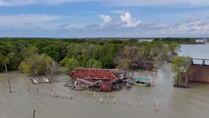 Morská hladina jej zobrala pôdu, ale nie odhodlanie. Domov si chráni mangrovníkmi