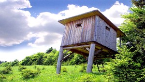 Deň pred voľbami štát predal les. Poľuje v ňom brat ministra