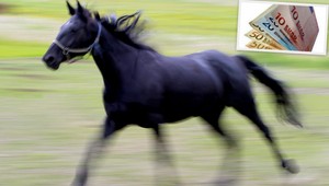 Sused okradol suseda, o peniaze za predaj koňa