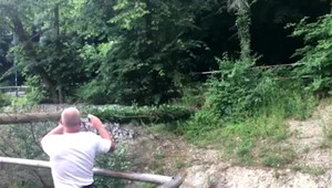 Šťastie v nešťastí: Na detskú trampolínu padol strom. Žiadne dieťa sa nezranilo