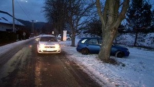 Vodič pri policajnej kontrole vraj hajloval