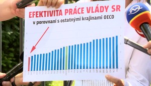 Zákony máme dobré. Horšie je to s ich zavádzaním do praxe