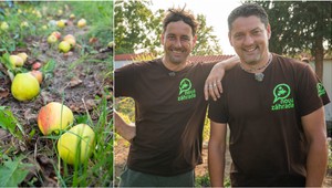 Máte v záhrade samé popadané ovocie? 3 dôvody, prečo strom zhadzuje ešte nezrelé plody!