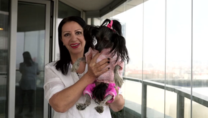 Prehnaný luxus alebo len čistá láska? Pozrite, AKÝ život žije sučka Nory Kabrheľovej!