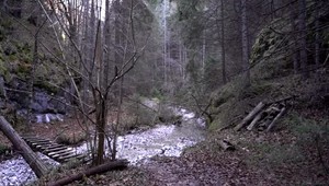 Chceli by ste vidieť do budúcnosti? Aké bude podľa klimatológov počasie v roku 2050?