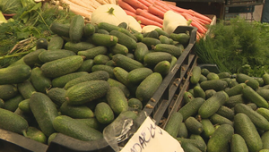 Nová americká potravinová pyramída stavia na mäso a mliečne výrobky, odborníci varujú