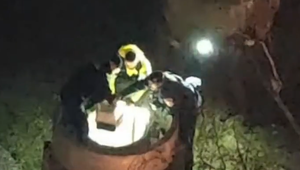 Kocúr spadol na Štedrý večer do šachty. Manželia započuli jeho zúfalý plač