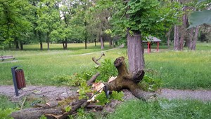 Nešťastie v Snine. Na chlapca spadol v parku strom