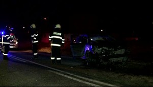 Vodič sa po nehode skryl v psej búde