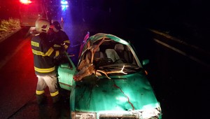 Zrážka auta s jeleňom. Rudolf skončil v nemocnici