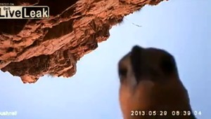 VIDEO. Orol ukradol kameru, nakrútil tieto zábery