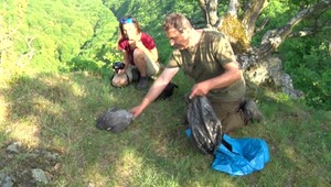 Pri Žarnovici hynú vtáky. U viacerých sa potvrdila otrava