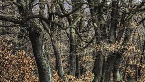 AUTENTICKÉ fotografie z nakrúcania mysterióznej Trhliny