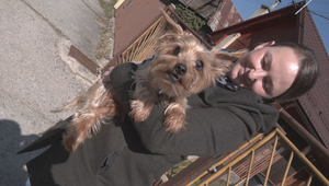 Štrnásťročný psík uviazol v odpadovej rúre. Pomôcť museli hasiči