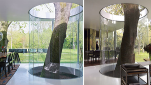 20 domov, ktoré vznikli bez nutnosti rúbať stromy