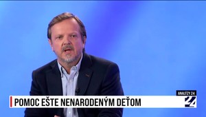 Analýzy 24 o poskytovaní lekárskej pomoci ešte nenarodeným deťom