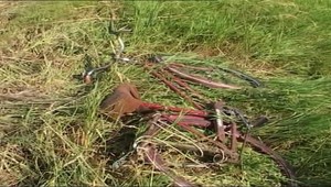 Strašné! Ženu znásilnil a uškrtil oceľovým drôtom