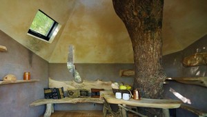 Úžasné miesto na relax? Čajový dom na 300 rokov starom strome