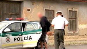 Ja som nepil, povedal vodič a nafúkal 4 promile