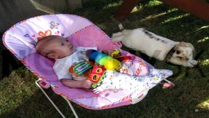 Benjamínko je vraj vážne zranený, no skončil v írskej rodine!